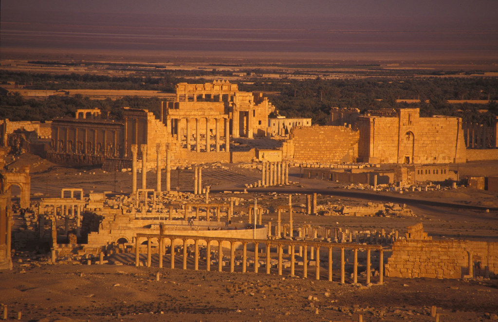 palmyra
